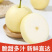 河北赵县皇冠梨大量有货高中低档次都有质量有保证
