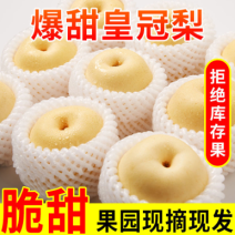 河北赵县皇冠梨大量有货高中低档次都有质量有保证