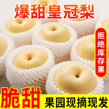 河北赵县皇冠梨大量有货高中低档次都有质量有保证