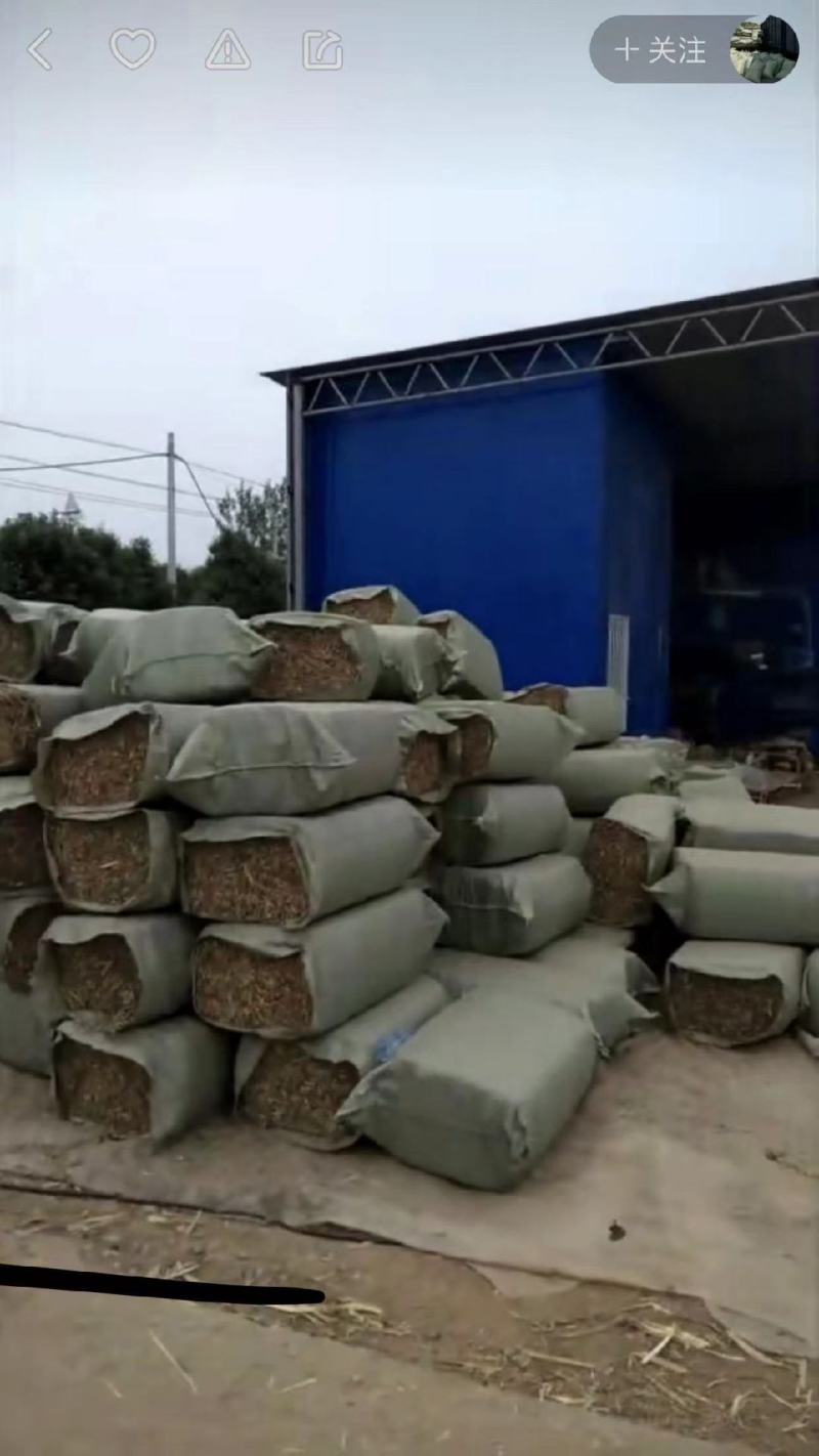 草场大量出售各种规格粉碎花生秧压缩包软包花生秧