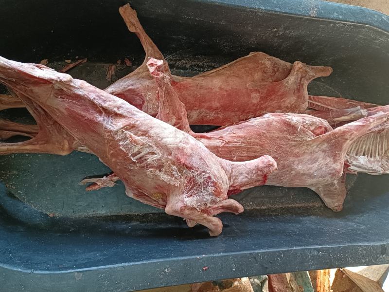 8一只烤全羊羊白条去皮小羊全国发货可发样品