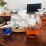 古树龙珠