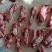 牛副产品腹肉条，纯干腹肉条。量大从优支持视频看货