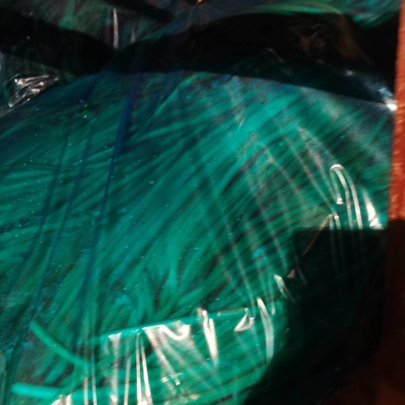 金乡蒜苔优质红帽蒜苔大量上市！代发全国欢迎采购货源充足质