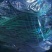 金乡蒜苔优质红帽蒜苔大量上市！代发全国欢迎采购货源充足质