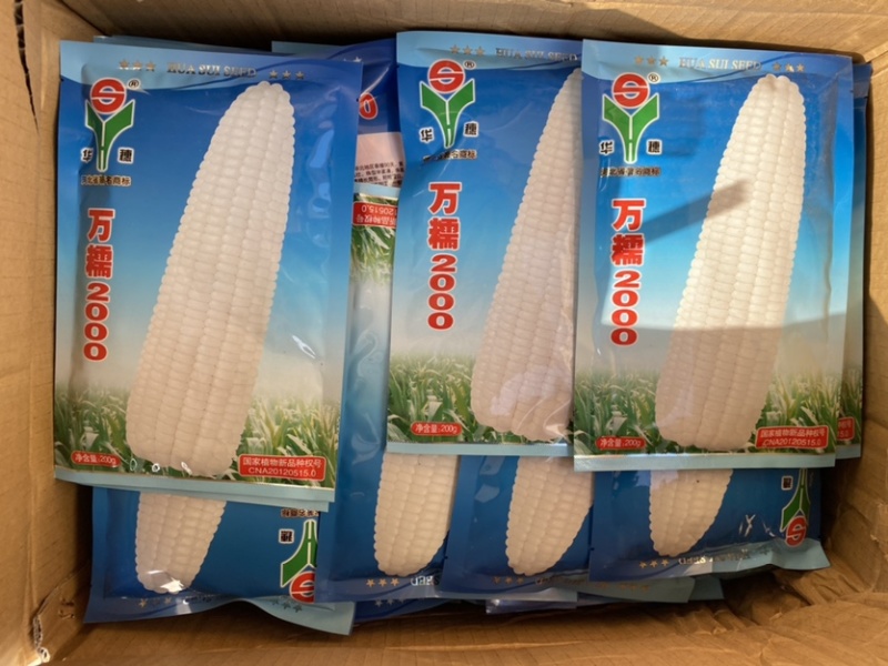 【正品】【新货】华穗万糯2000白糯玉米种子超大穗