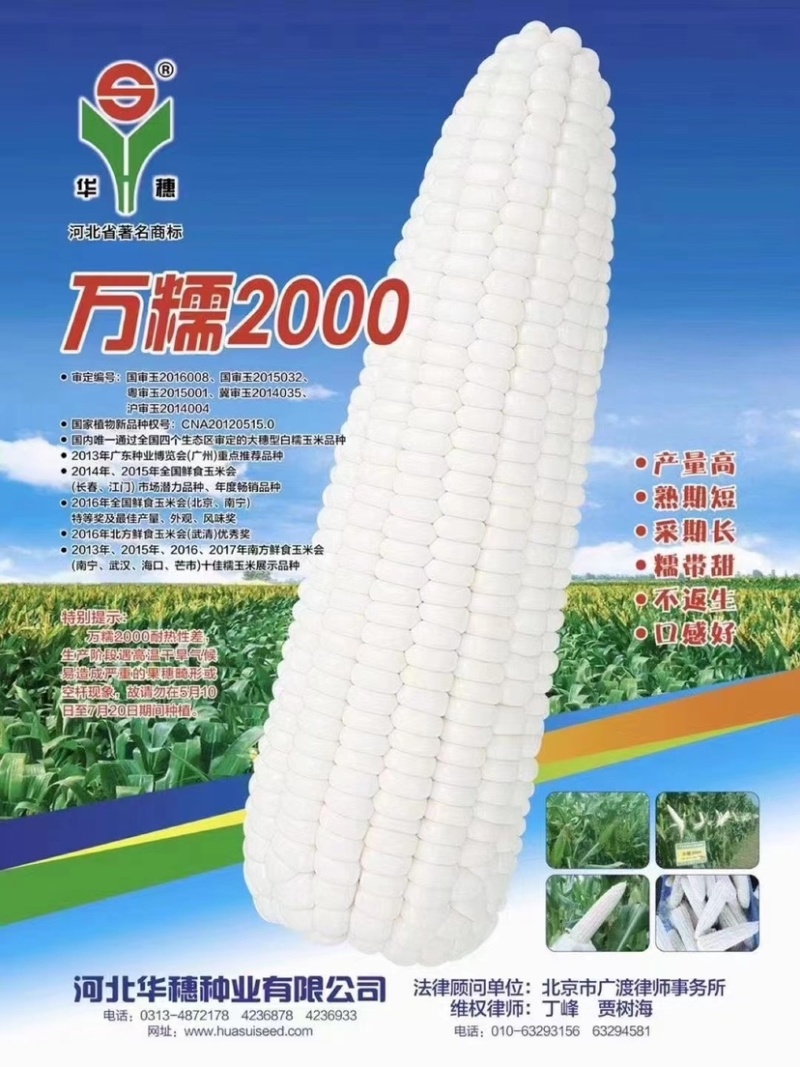 【正品】【新货】华穗万糯2000白糯玉米种子超大穗