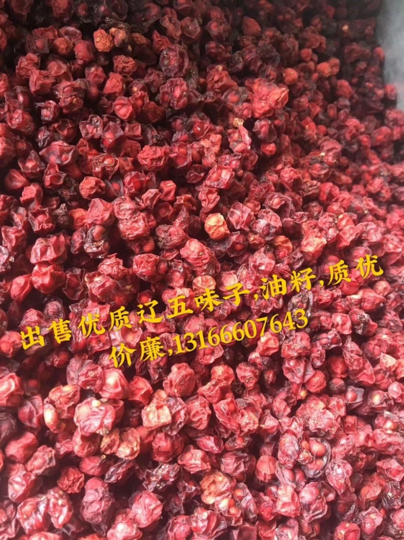 东北五味子2022年新货选货颗粒饱满，足干货