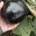 圆茄山东莘县圆茄大量上市货源充足价格平稳量大从优对接全