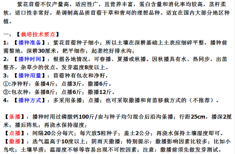 紫花苜蓿种子多年生苜蓿种子四季高产猪牛羊鸡鱼牧草绿肥蜜源