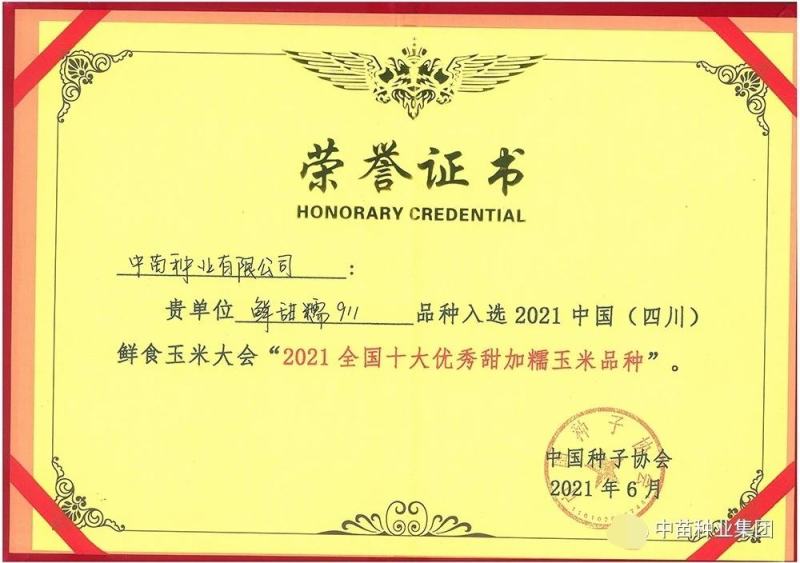 中苗鲜甜糯911特大棒甜加糯玉米种子白色甜糯玉米种子