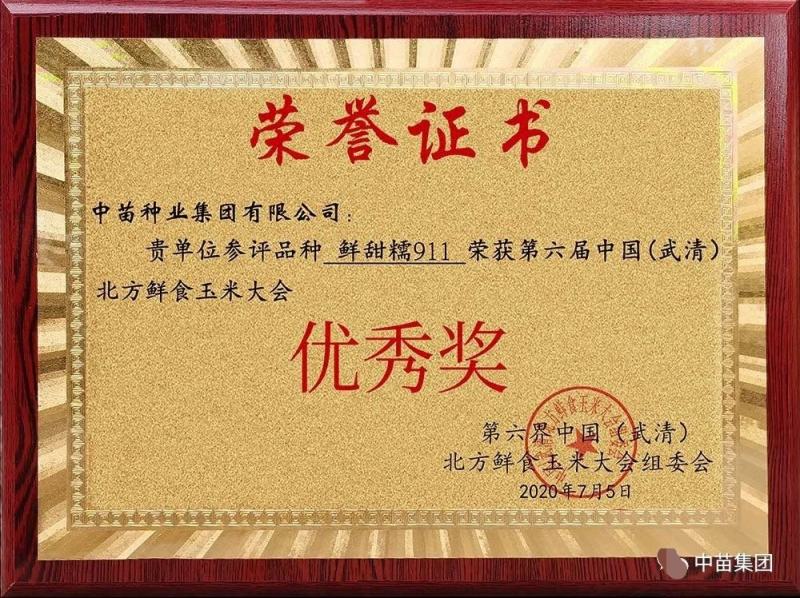 中苗鲜甜糯911特大棒甜加糯玉米种子白色甜糯玉米种子