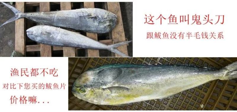 鲅鱼干山东鲅鱼一卤鲜淡干不咸马鲛鱼干真空包装