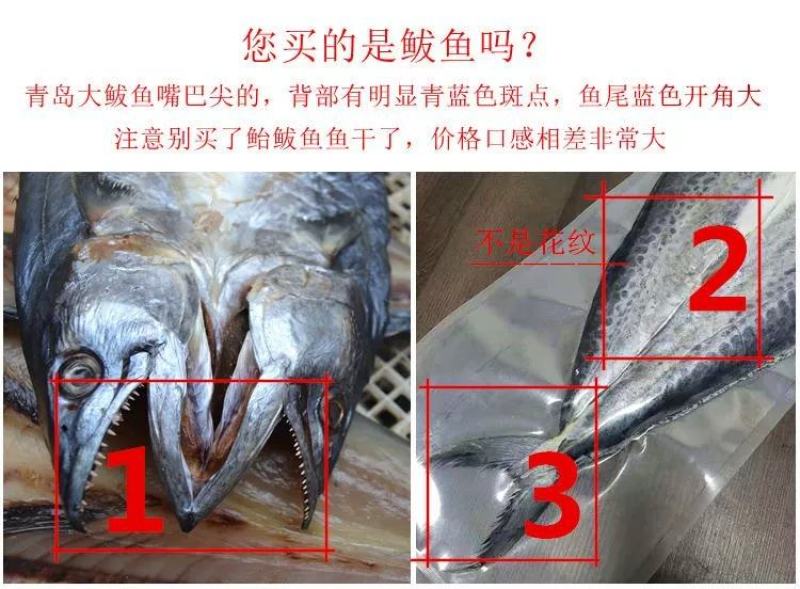 鲅鱼干山东鲅鱼一卤鲜淡干不咸马鲛鱼干真空包装