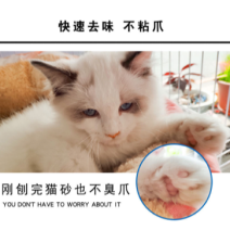 猫砂20斤装幼猫成猫通用型除臭猫咪用水猫粮