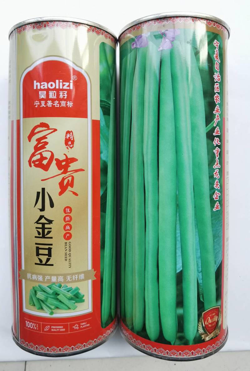 小金豆种子芸豆种子绿荚扁圆无筋肉厚抗病高产基地专用款