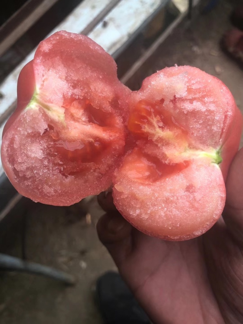 普罗旺斯西红柿口感好实惠诚信清甜多汁