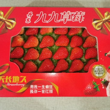 批发代办丹东99草莓东港红颜牛奶草新鲜水果基地社区团购
