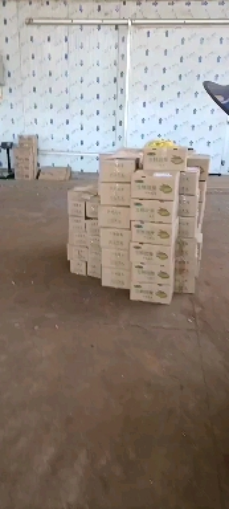 无农药现摘甜玉米笋迷你小玉米笋水果玉米新鲜沙拉菜食材包邮