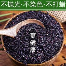 陕西洋县正宗新黑米特产农家自产五谷杂粮黑籼米黑糯米