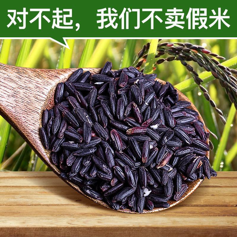 陕西洋县正宗新黑米特产农家自产五谷杂粮黑籼米黑糯米