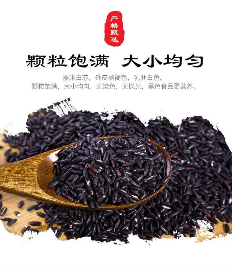 陕西洋县正宗新黑米特产农家自产五谷杂粮黑籼米黑糯米