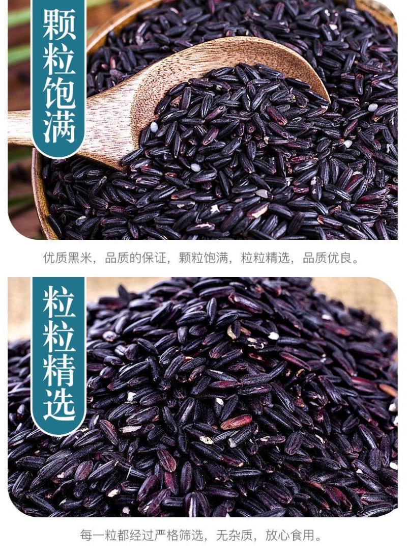 陕西洋县正宗新黑米特产农家自产五谷杂粮黑籼米黑糯米