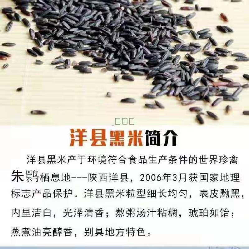 陕西洋县正宗新黑米特产农家自产五谷杂粮黑籼米黑糯米