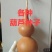 各种葫芦种子有售