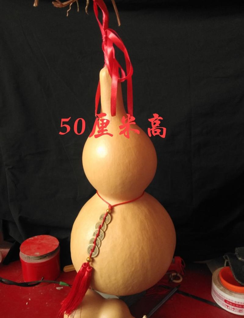各种葫芦种子有售