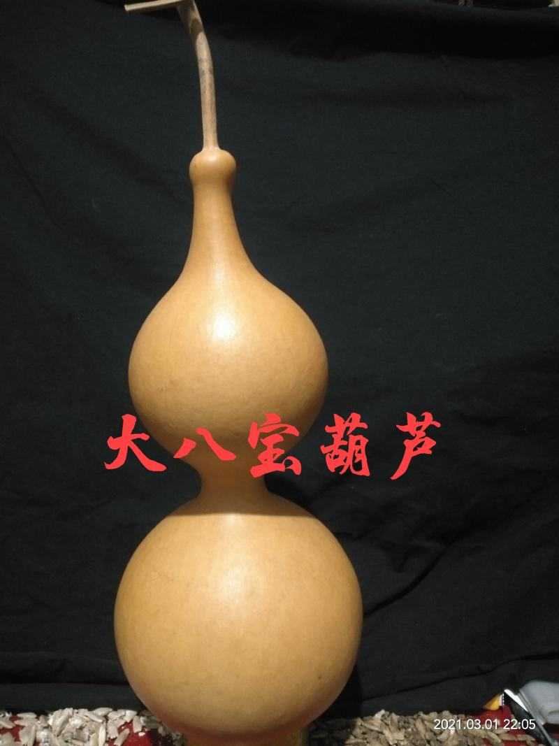各种葫芦种子有售