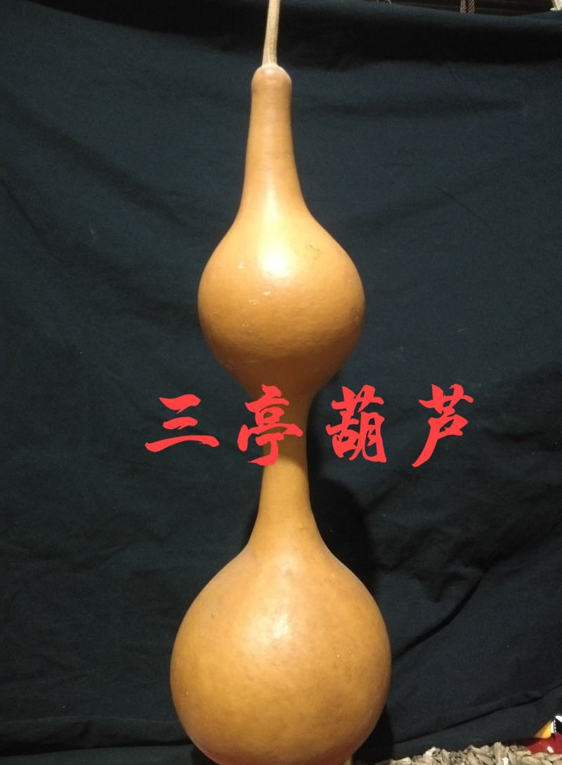 各种葫芦种子有售