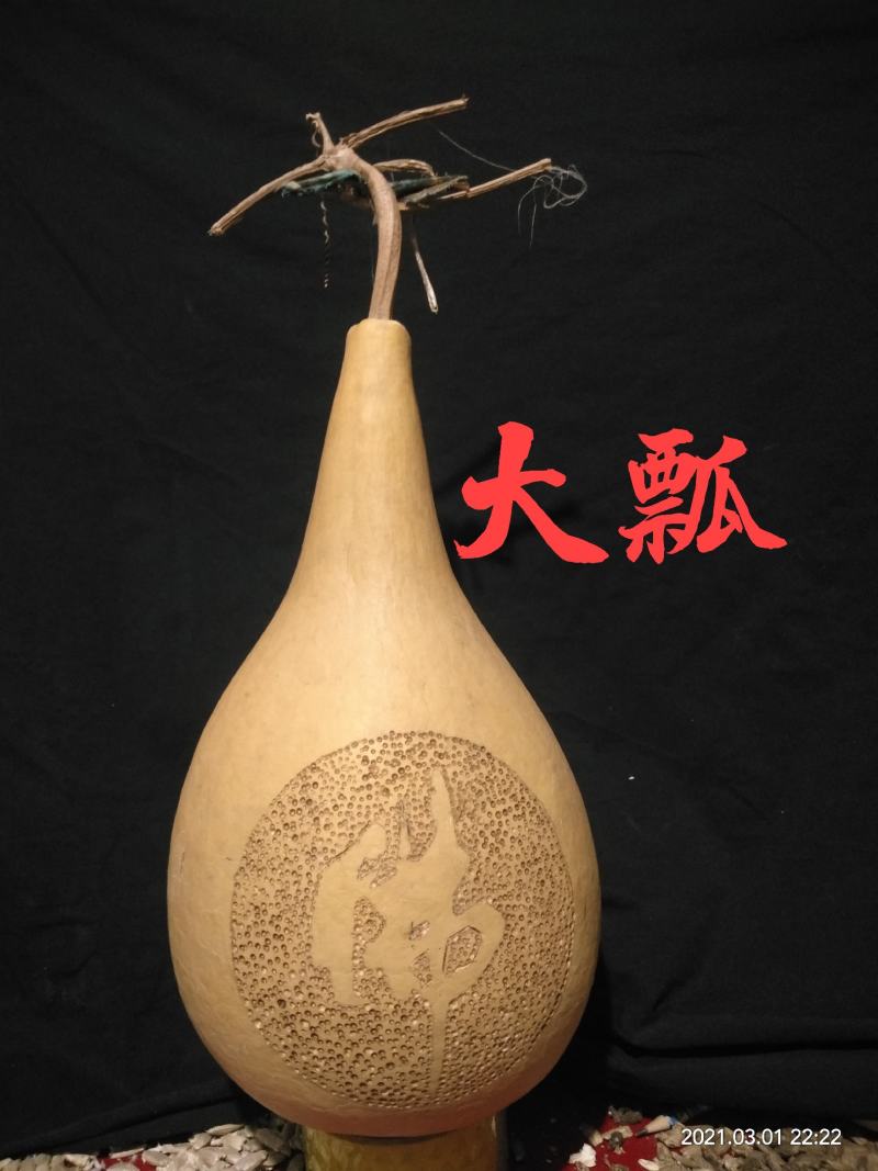 各种葫芦种子有售