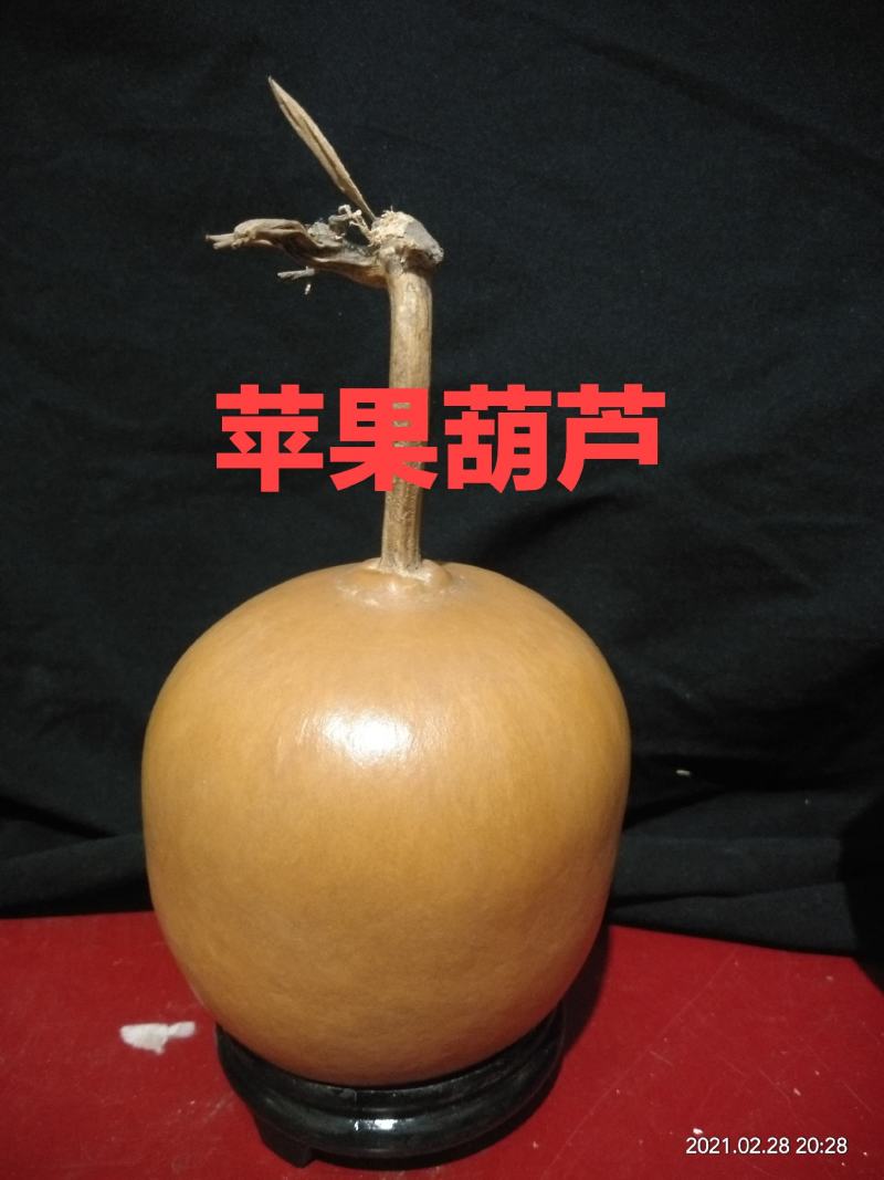 各种葫芦种子有售