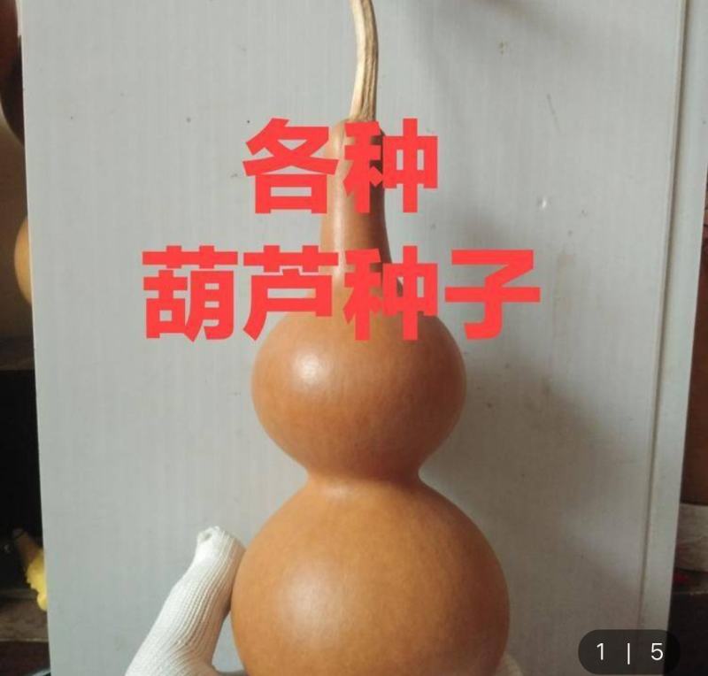 葫芦zhongzi，品种全，包发芽。