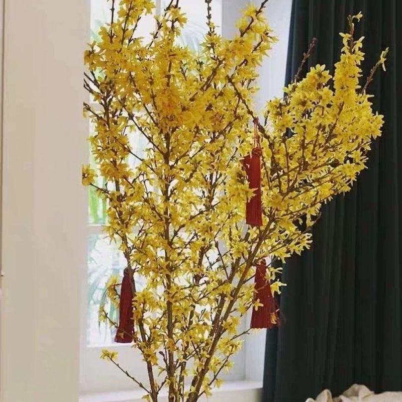 寸寸金串串金干枝花鲜花