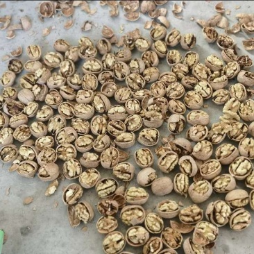 汾州核桃仁，大量有货需要的价格便宜，加工精细，量大的优惠