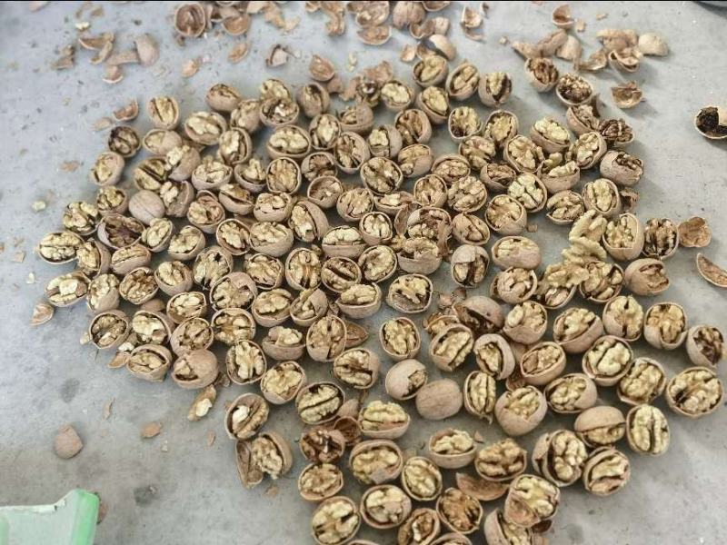 汾州核桃仁，大量有货需要的价格便宜，加工精细，量大的优惠