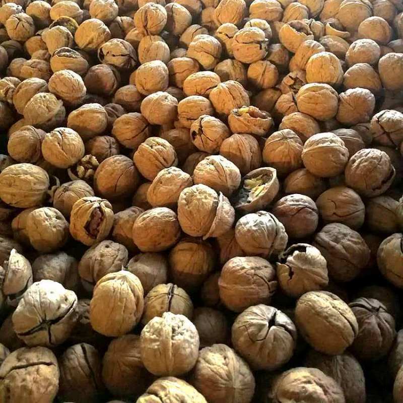 新货新疆清香核桃手剥薄皮熟大黑桃奶油椒盐味多口味混合包邮