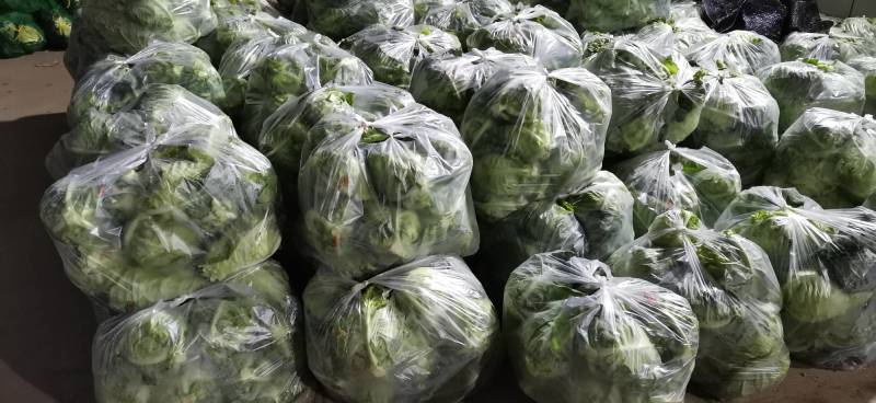 甘蓝，湖北当阳市精品旺旺圆包菜，质量保证量大优惠