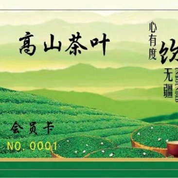 24年的茶树有图有真相品质好独一无二厂家直销性价比很高