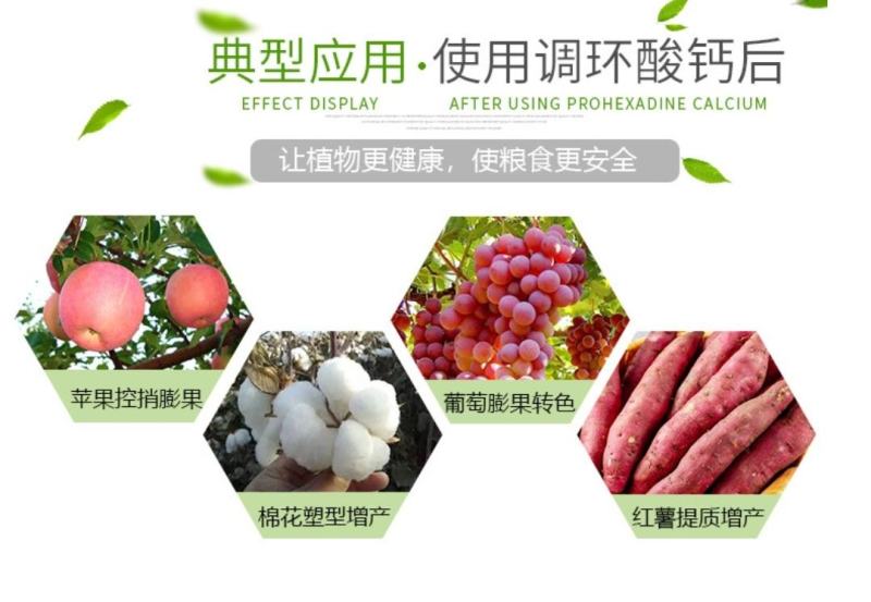 调环酸钙只控秧不空果的调节剂安全高效缩短节间控旺