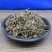 双肾草肾阳草鸡肾参对对参不满意可退换