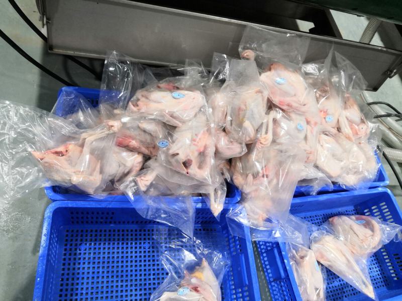 老母鸡白条