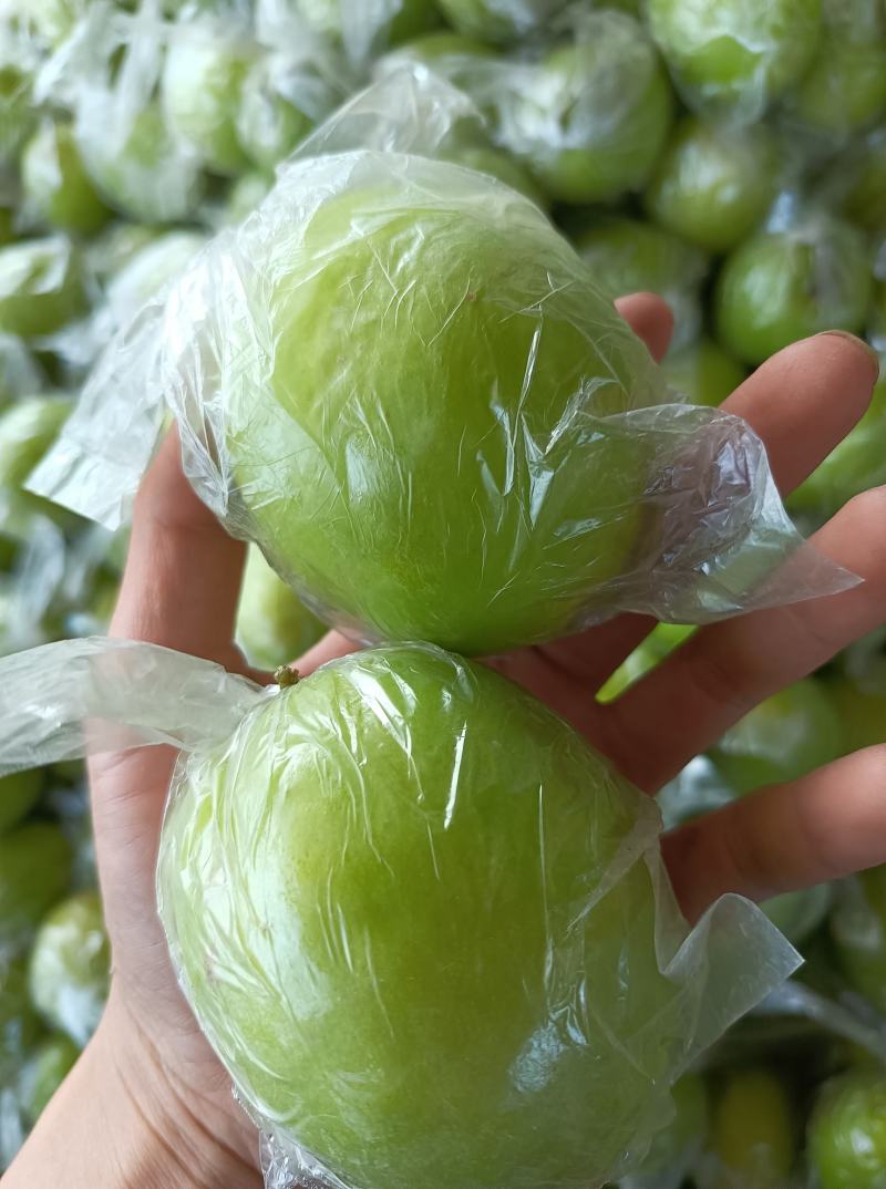 新鲜蜜丝枣新鲜上市，每天现摘现发，诚信代办