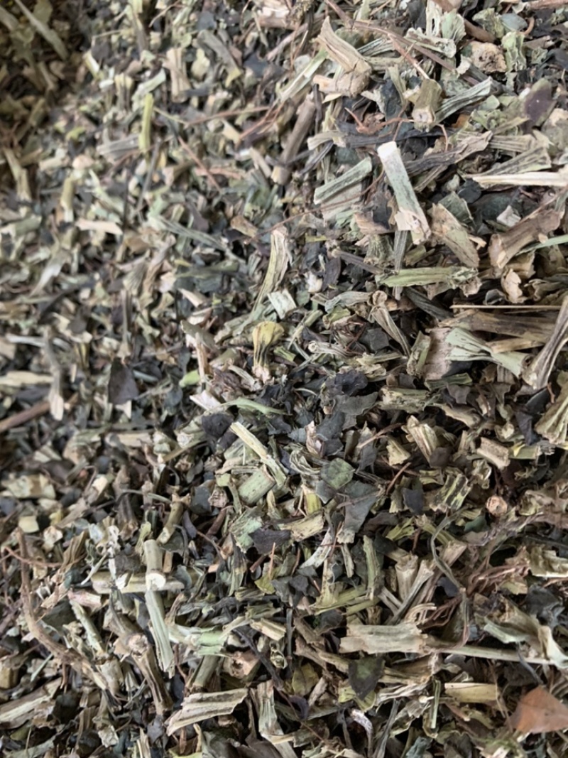 石油菜野生中药材广西石油菜冷门冷背药石花菜石苋菜支持代发