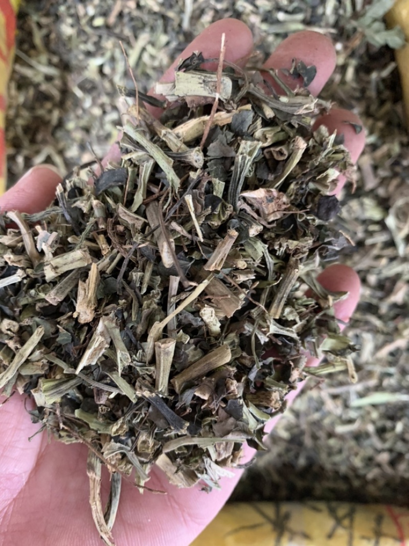 石油菜野生中药材广西石油菜冷门冷背药石花菜石苋菜支持代发