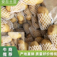 [土豆批发]宝昌沽源高端709,希森,v7马铃薯天天一对一发车;价格0.