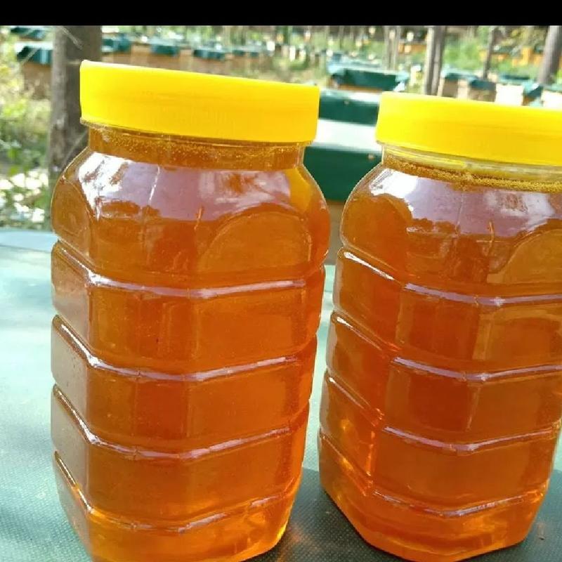 《土蜂蜜》农家自己养的，纯土蜂蜜，包邮。