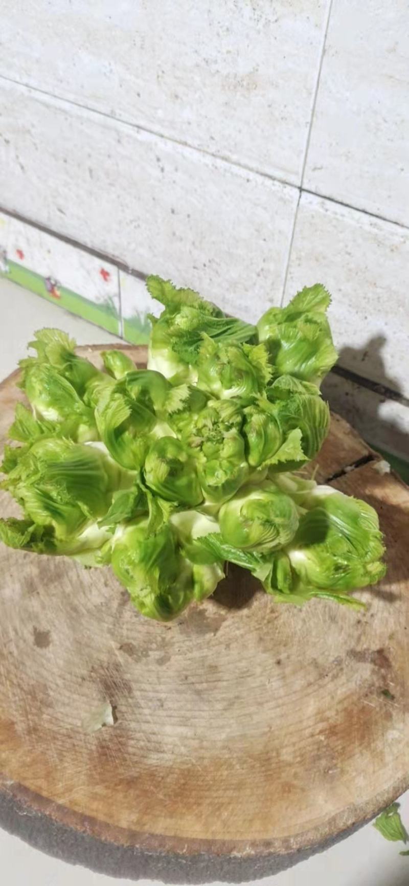 儿菜四川绵阳的精品儿菜大心子小心子儿菜基地货